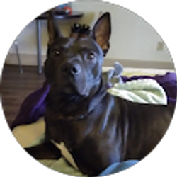Profile photo of Eric Spuck
