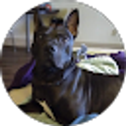 Profile photo of Eric Spuck