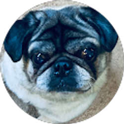 Profile photo of Lisa Whitaker