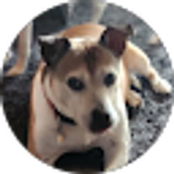 Profile photo of Thomas Eddington