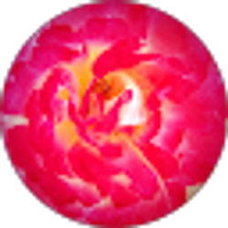 Profile photo of TnB1127 RusRam
