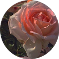 Profile photo of La Chelle Bridges