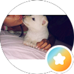 Profile photo of Alyin Villarroel