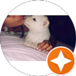 Profile photo of Alyin Villarroel