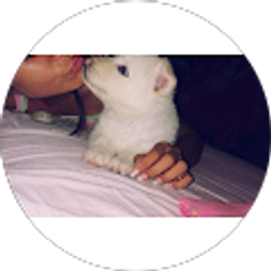 Profile photo of Alyin Villarroel