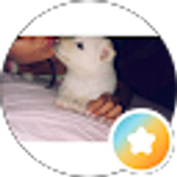 Profile photo of Alyin Villarroel