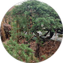 Profile photo of Wilson