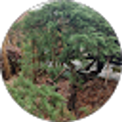 Profile photo of Wilson