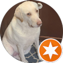 Profile photo of Allen Warf