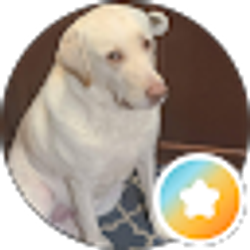 Profile photo of Allen Warf