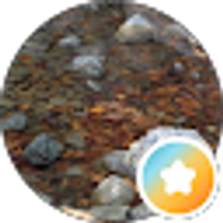 Profile photo of K N