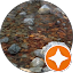 Profile photo of K N