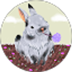 Profile photo of Ana DeBoer