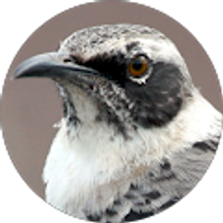 Profile photo of Vladimir Volodin [C-TSYS]