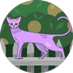 Profile photo of Cat Law