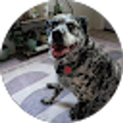 Profile photo of Sandra Moxley