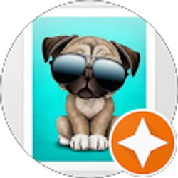 Profile photo of David Karkocha