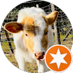 Profile photo of Kmshari E