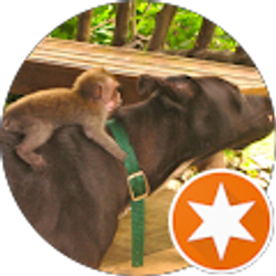 Profile photo of Mark S