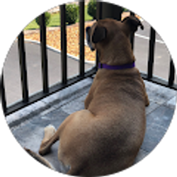 Profile photo of Tiffany