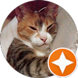 Profile photo of Raquel Marie