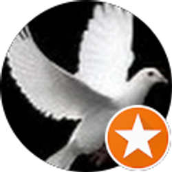 Profile photo of LAS