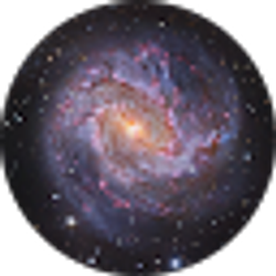 Profile photo of M R