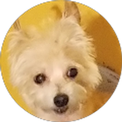 Profile photo of Leisa Evans