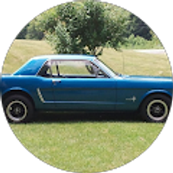 Profile photo of William Honeycutt