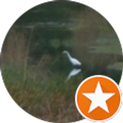 Profile photo of Cari Wilson