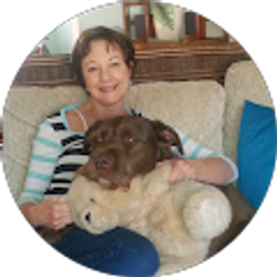 Profile photo of Nancy Ponessa