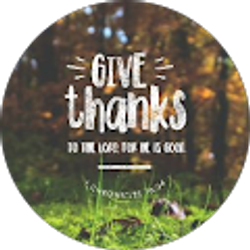 Profile photo of Jamie Jerome