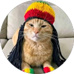 Profile photo of Robert Burke