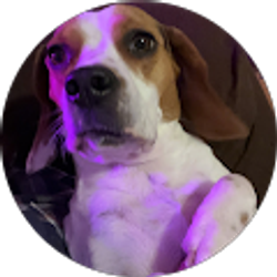 Profile photo of Garrett Humphrey