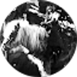 Profile photo of Darla Stump