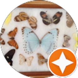 Profile photo of Suhey Mateo