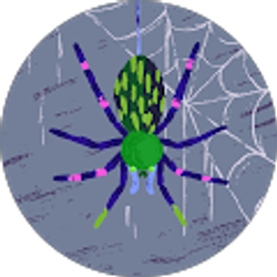 Profile photo of Elijah Shinkarevich