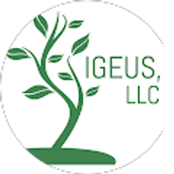 Profile photo of Igeus LLC