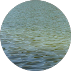 Profile photo of Gianna kelly