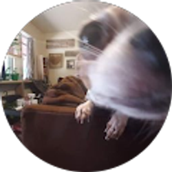 Profile photo of Vanessa Verburg