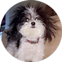 Profile photo of cam