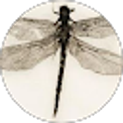 Profile photo of Jo Davis