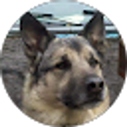 Profile photo of Ryan Jorgenson