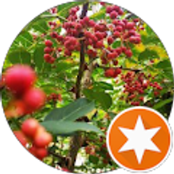 Profile photo of susan D