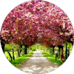 Profile photo of Melissa Kawkabany