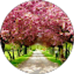 Profile photo of Melissa Kawkabany