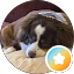 Profile photo of James Huber