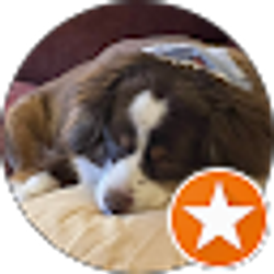 Profile photo of James Huber