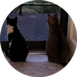 Profile photo of Rhonda Douglas