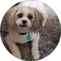 Profile photo of mark mcclure